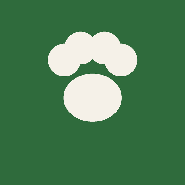 EcoTail Shop -  Sustainable supplies for happy pets